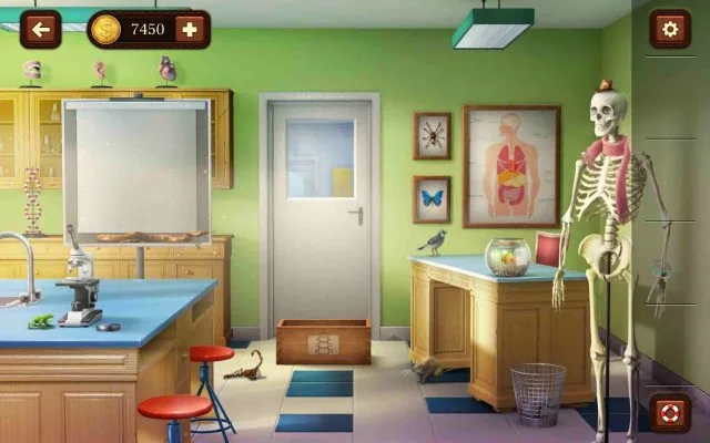 100 Doors Escape from School Level 81 Sort Vertebrates Into the Backbone Box gameplay screenshot