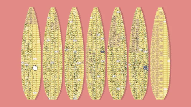 A Little to the Left Seeing Stars Puzzle 4 Corn real gameplay