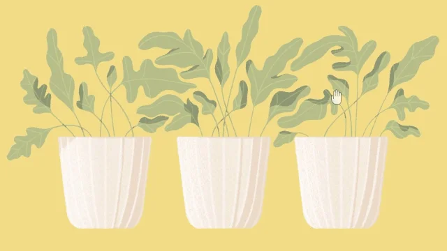 A Little to the Left Base Game Puzzle 57 Plant Pots real gameplay