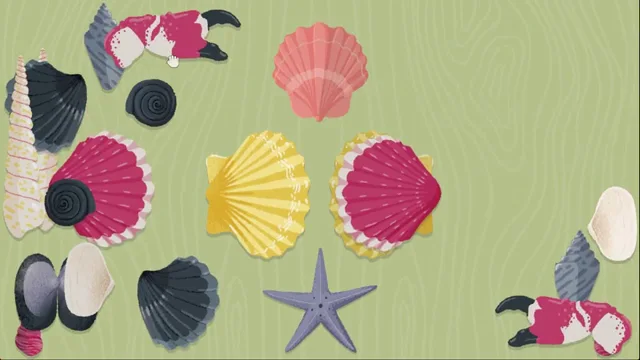 A Little to the Left Base Game Puzzle 59 Shells real gameplay