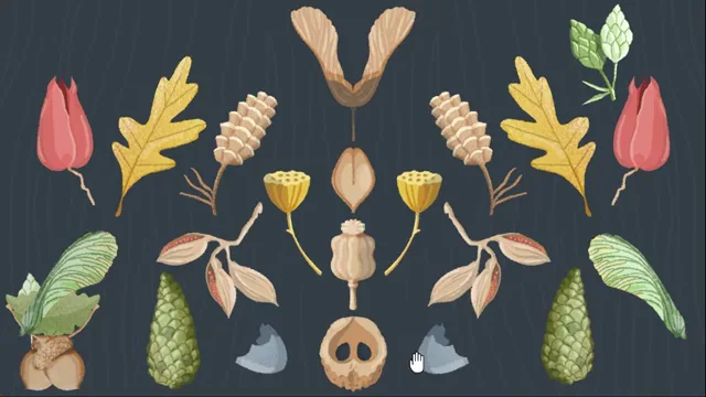 A Little to the Left Base Game Puzzle 62 Seedpods real gameplay