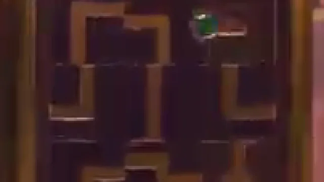 The Birdcage Level 17 Eagle Cage 2 real gameplay