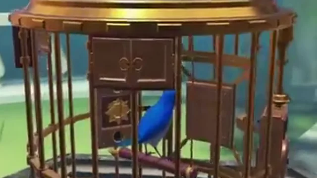 The Birdcage Level 3 Bluebird Cage 3 real gameplay